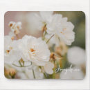 Recherche de fleurs blanches roses tapis souris Photographie