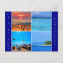 Suche nach collies postkarten Foto