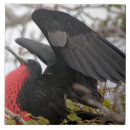 Suche nach amerika fliesen Bunt