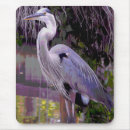 Recherche de plume bleue tapis souris Plumage