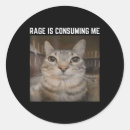 Suche nach merkwürdige aufkleber Kätzchen