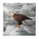 Suche nach eagle fliesen Natur