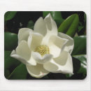 Suche nach magnolie mousepads Südlich