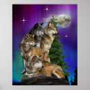 Suche nach wolf und mond poster Natur