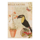 Recherche de papillons vintage posters Moderne