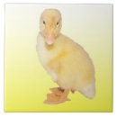 Recherche de canards mignons carreaux Jaune
