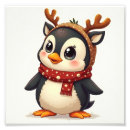 Recherche de pingouins photographie Photographe