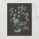 Recherche de charbon de bois posters Menthe