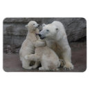 Recherche de cubes vœux cartes Ours