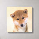 Suche nach shiba inu kunst Welpe