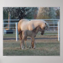 Suche nach neugeborener poster Baby