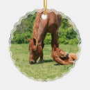 Recherche de jument Chevaux