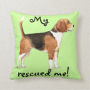 Recherche de de de beagle coussins Hound