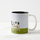 Recherche de vache holstein tasses Horizontal