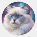 Recherche de chat cosmique autocollants Galaxie