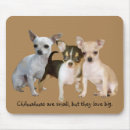 Recherche de chiwawa électronique Chiot