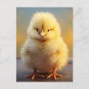 Suche nach funny easter poster Tiere
