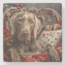 Recherche de weimaraner dessous de verres Animal