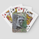 Suche nach waschbär spielkarten Wald