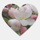 Recherche de mur autocollants Blanc