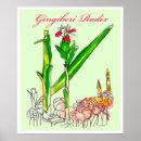 Suche nach ingwer poster Aquarell