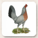 Suche nach hen untersetzer Huhn