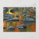 Suche nach format karten Monongahela