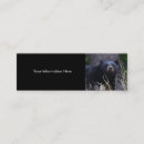 Suche nach schwarzer bär visitenkarten Tier