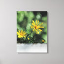 Suche nach wilde blumen leinwandbilder Foto