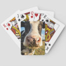 Suche nach cow spielkarten Rural scene