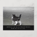 Suche nach katzen schwänze karten Schwarz