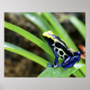 Recherche de le darts posters Wildlife