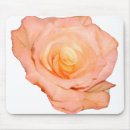 Suche nach pfirsich rosen mousepads Schön