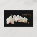 Recherche de phalaenopsis cartes visite Blanc