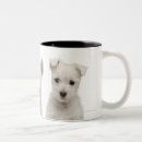 Recherche de montagne tasses Blanc