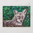 Suche nach wolf im wald postkarten Kaninchen