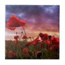 Suche nach mohnblumen blumen fliesen Wildblume