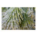 Recherche de glace posters Abstrait