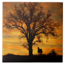 Recherche de cheval l carreaux Nature