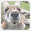 Suche nach niedliche gesichter aufkleber Für sie