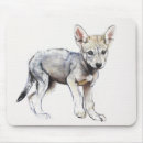 Recherche de chiot de loup Arabe