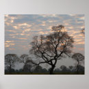 Recherche de pantanal posters Danita délimitont