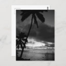 Recherche de palmier noir et blanc cartes postales Plage