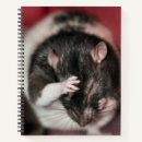 Suche nach ratten kleine notizbücher Spaß