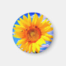 Recherche de tournesol magnets Abeille