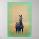 Suche nach stehend poster Hengst