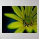 Recherche de fine photographie art Fleur