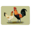 Recherche de de poulet magnets Bantam