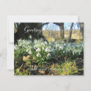 Recherche de snowdrop cartes postales Neige