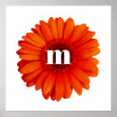 Suche nach gerbera poster Blume